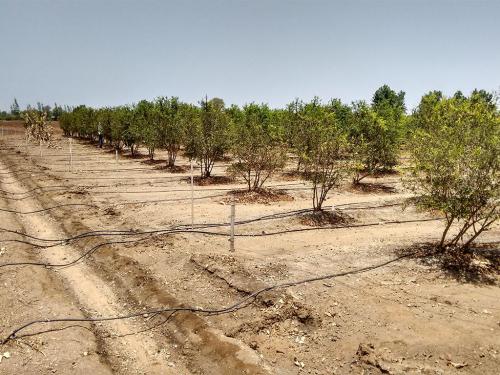 Agroecological-Support-2-min