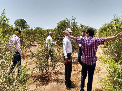 Agroecological-Support-3-min