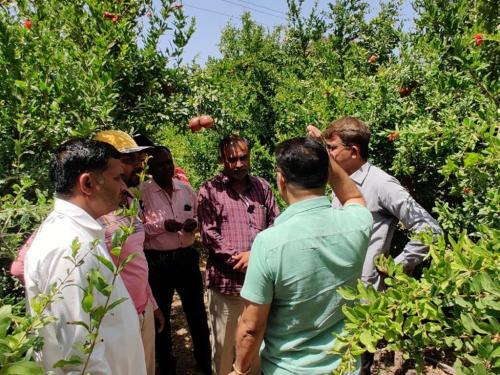 Agroecological-Support-4-min