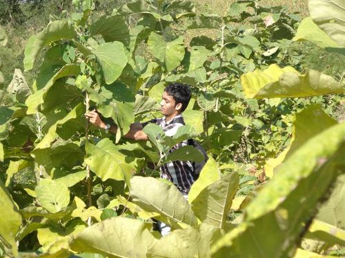 Ecological-Field-Work-2