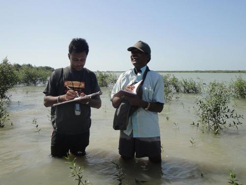 Ecological-Field-Work-3