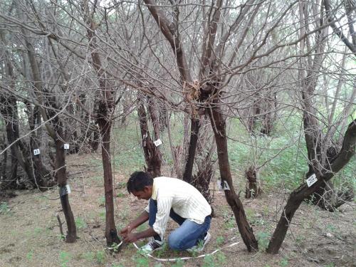 Ecological-Field-Work-5