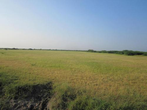 Grassland-Ecosystem-1-min