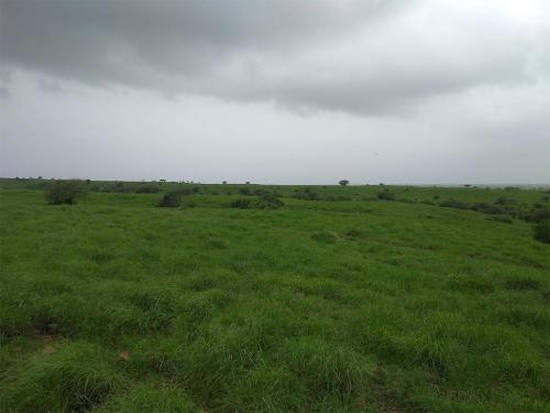 Grassland-Ecosystem-2-min