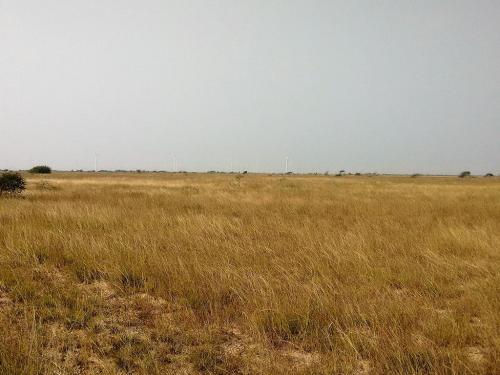 Grassland-Ecosystem-3-min