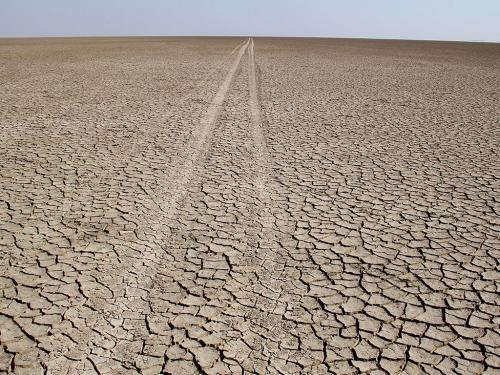 Little-Rann-of-Kachchh-min