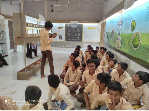 School-Nature-Education-Program-4-min